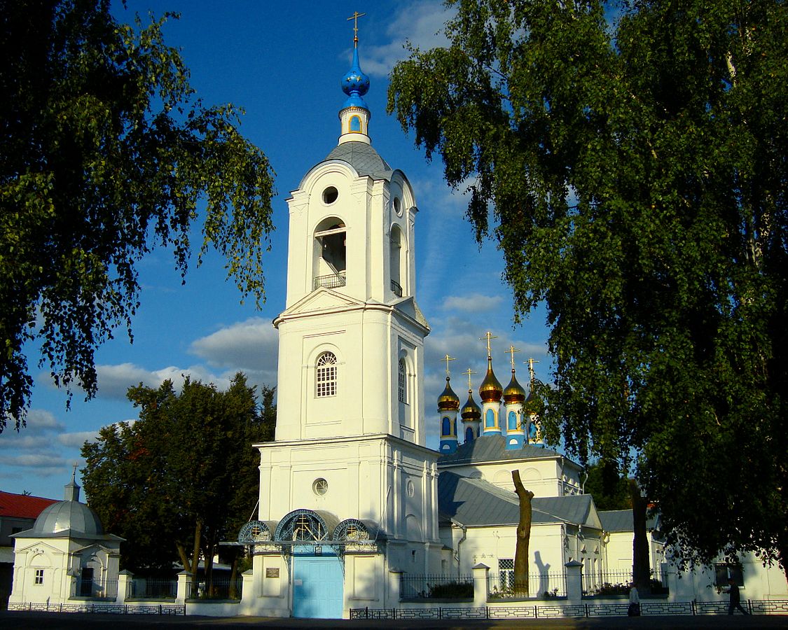 Свято-Покровский храм (город Покров) — Александровская епархия